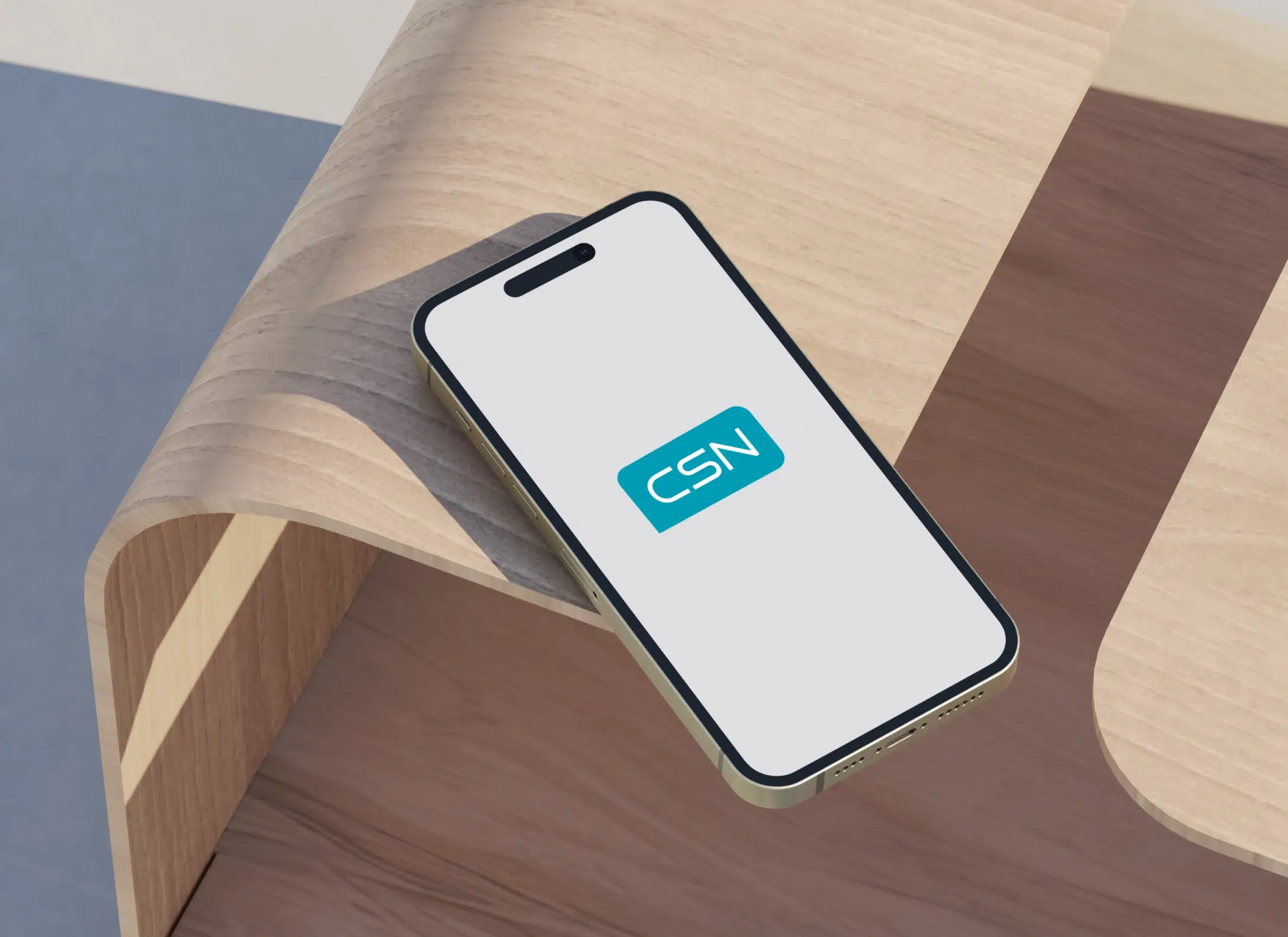 Handy Mockup CSN Logo